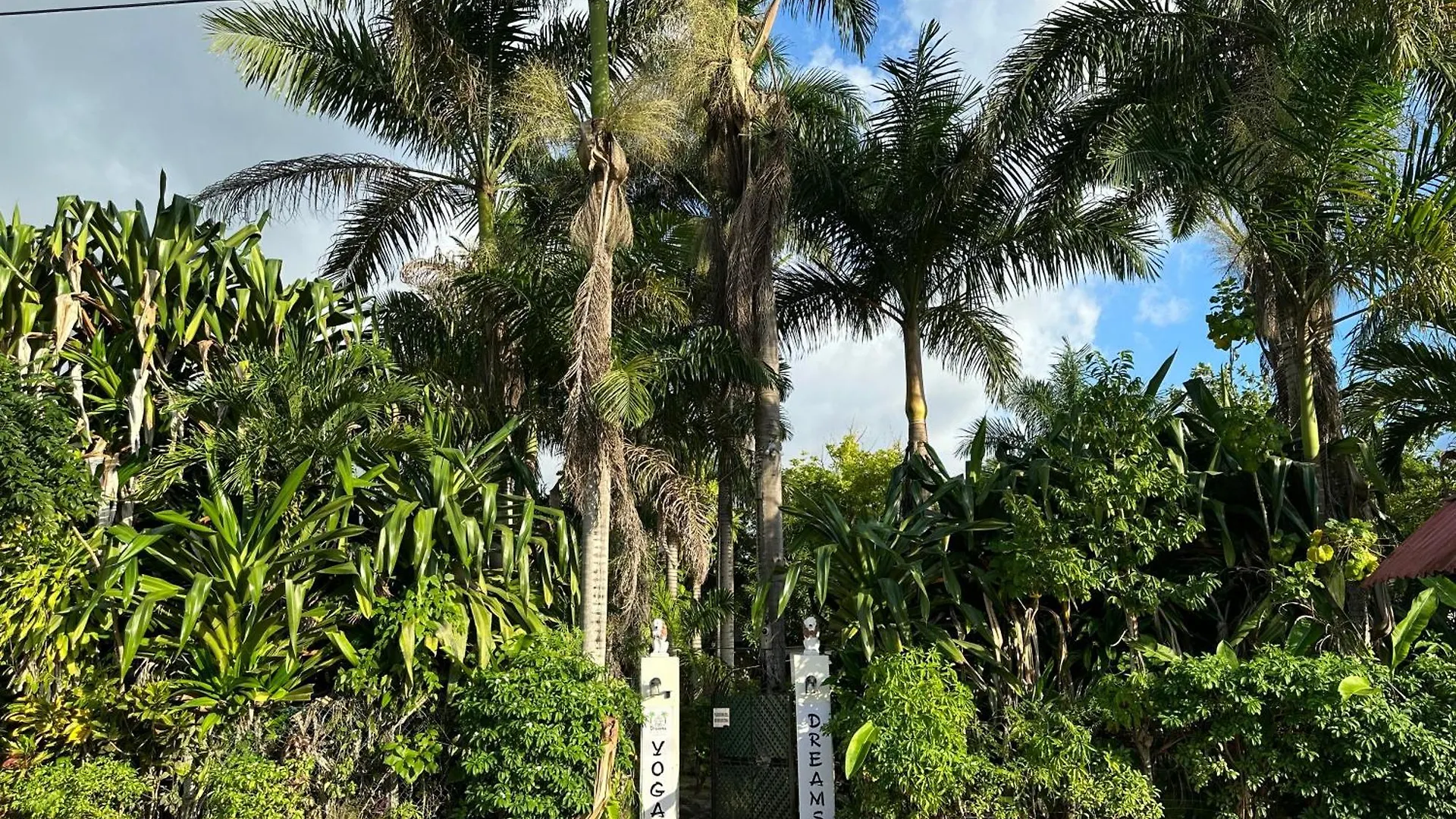 ***  Hotel Yoga Dreams Negril Jamajka