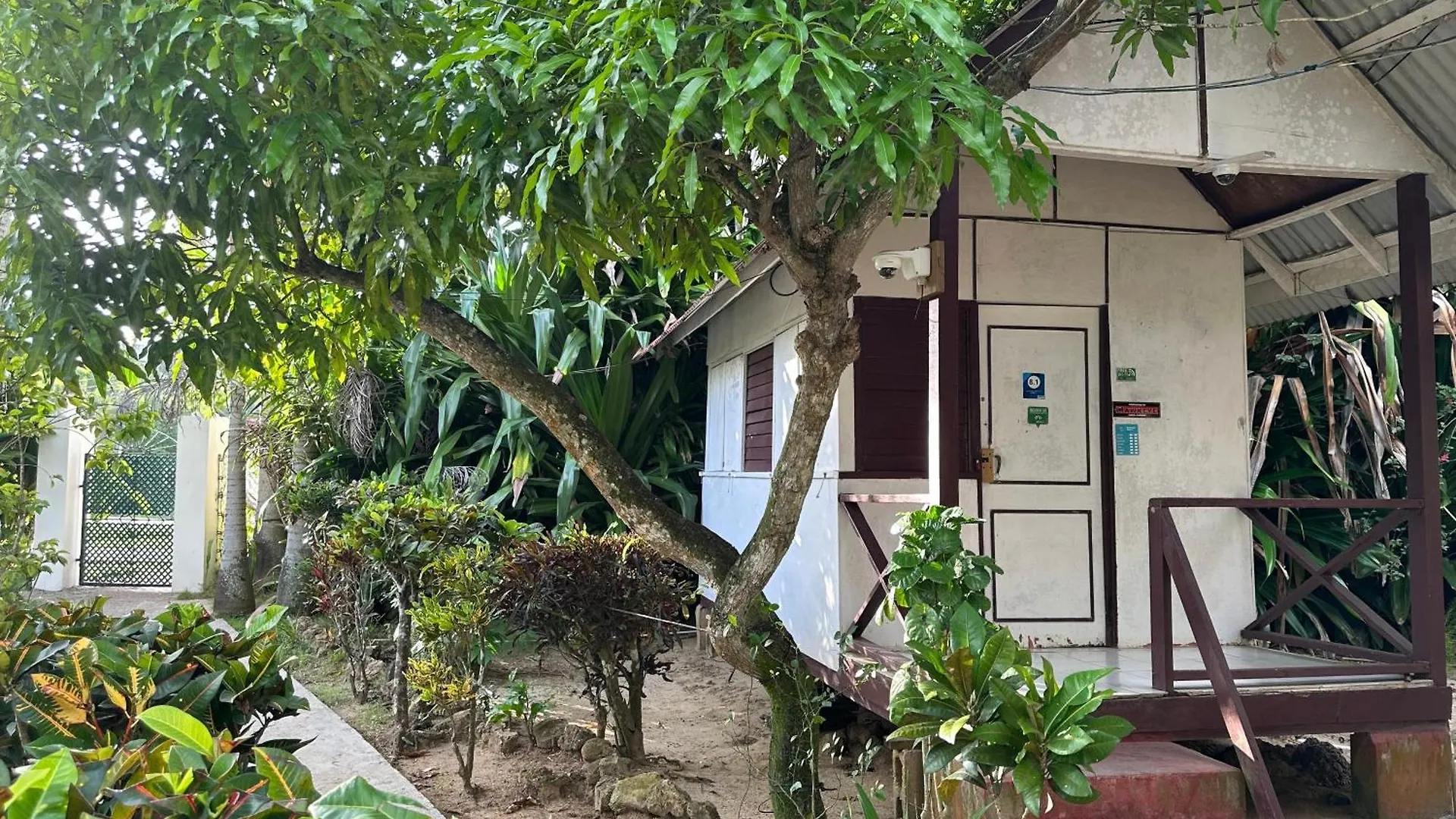 Hotel Yoga Dreams Negril