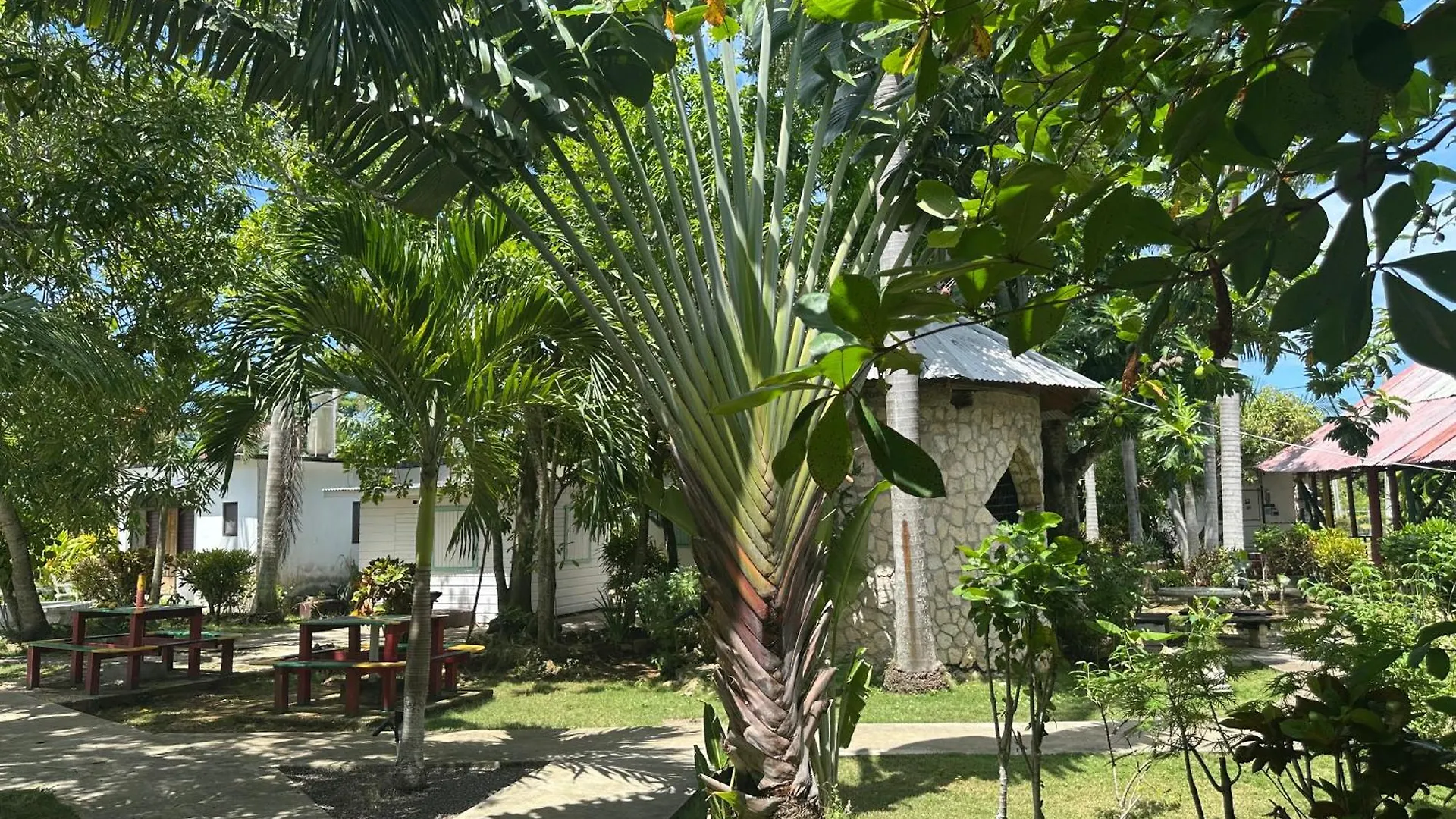 Hotel Yoga Dreams Negril 3*,  Jamajka