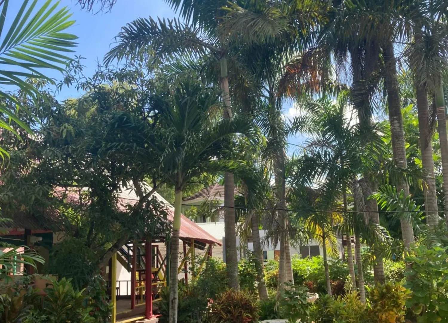 Hotel Yoga Dreams Negril