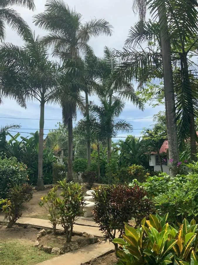 Yoga Dreams Negril Hotel