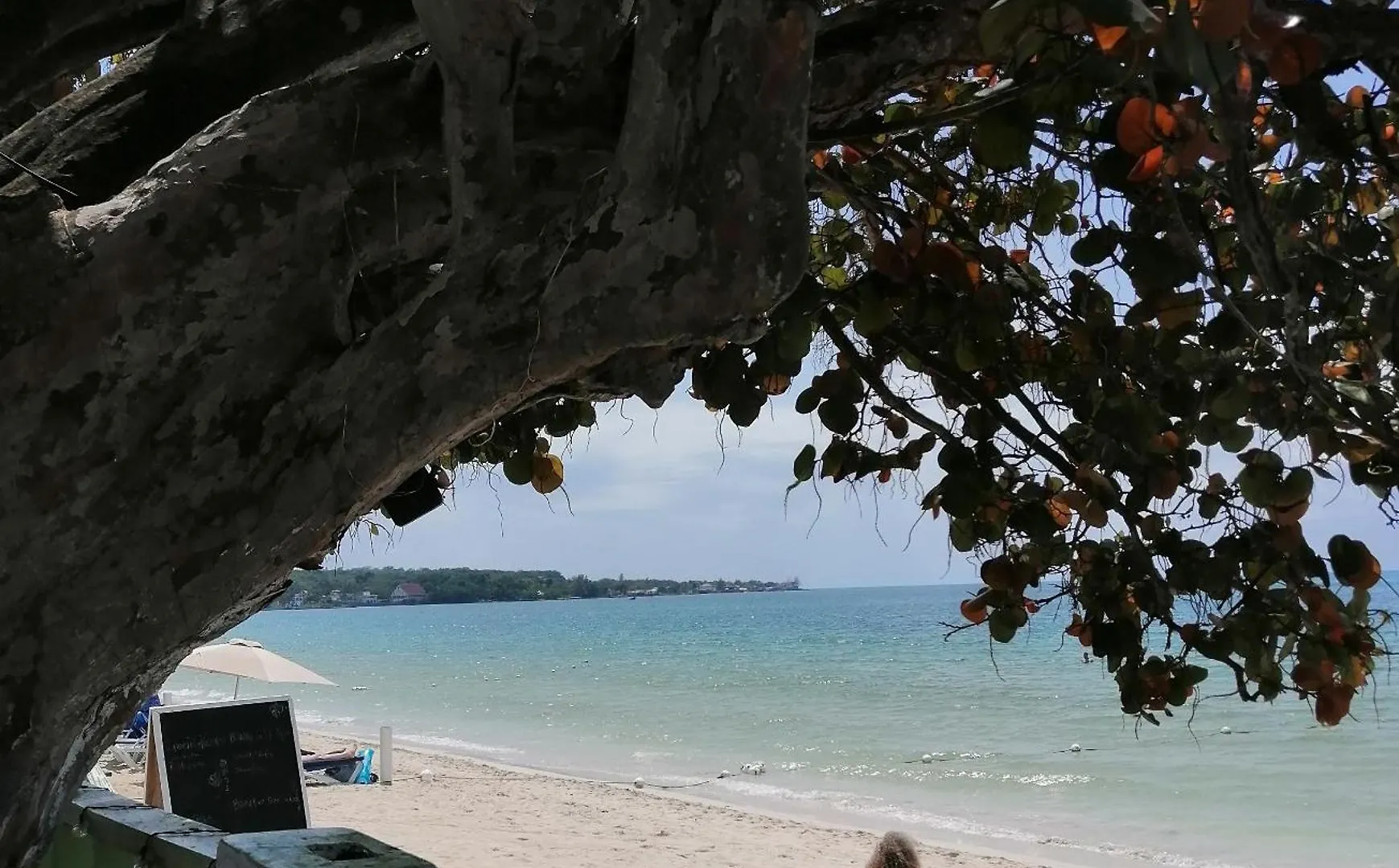Yoga Dreams Negril Hotel Jamaica