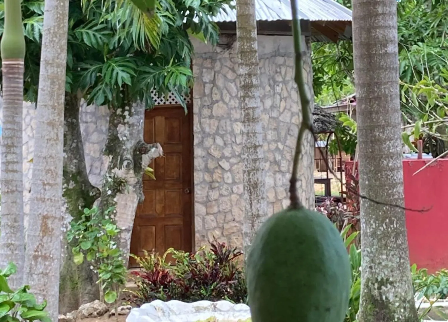 Yoga Dreams Negril Hotel